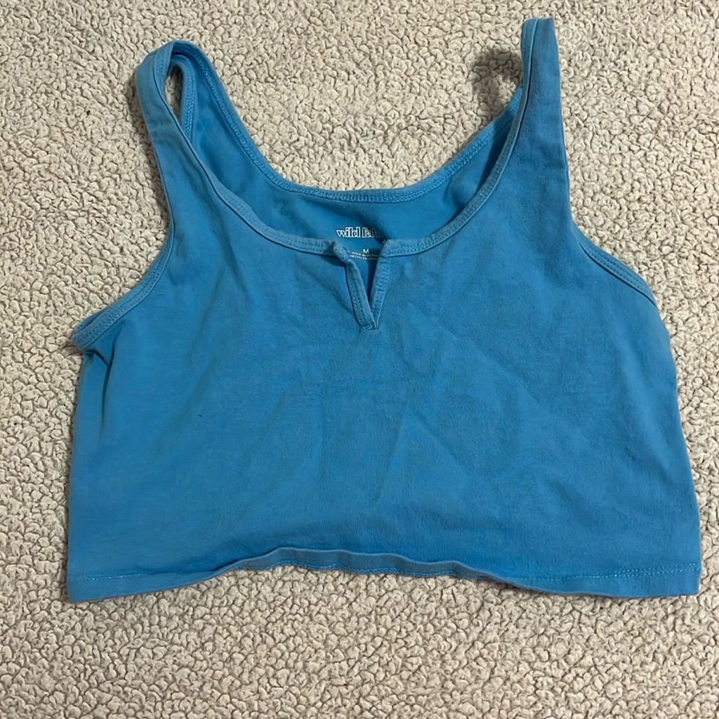 Wild Fable Blue Crop Top